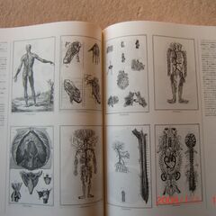 フランス百科全書絵引