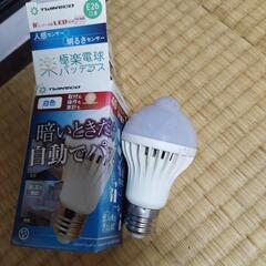 LED人感センサー電球
