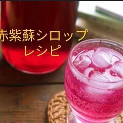 赤紫蘇シロップレシピ