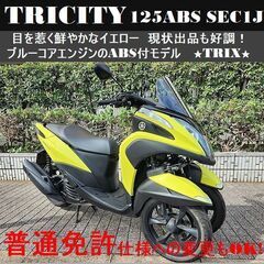 【普通免許仕様もOK】トリシティ125ABS SEC1Jブルーコ...