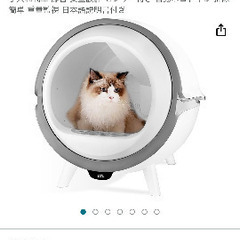 猫　自動トイレ