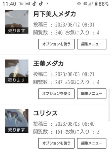 まとめ売りメダカ