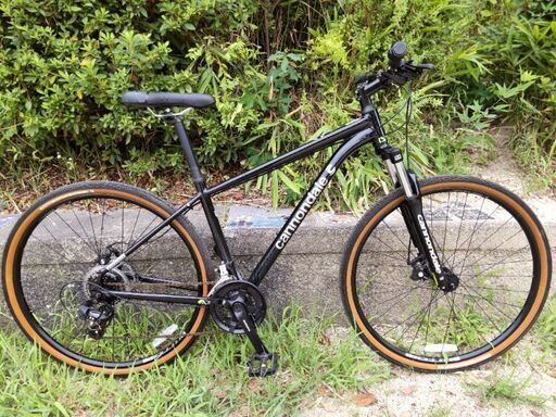 キャノンデール マウンテン29er