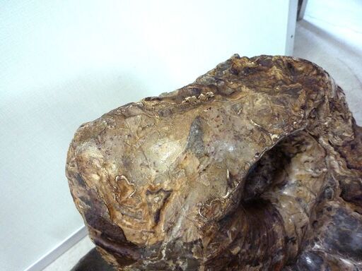 アンモナイト 化石 大型 重量 45kg 台座付き 詳細不明 オブジェ