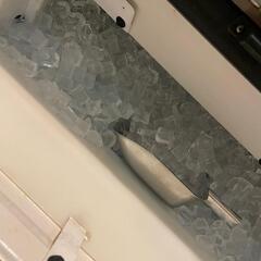 【引き取り限定】ホシザキ製氷機90kg2013年製