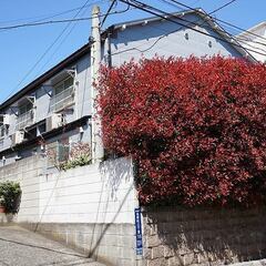 ☆メッセ板橋ときわ台☆志村坂上駅徒歩14分(*‘ω‘ *)！！オ...