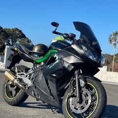 【ネット決済・配送可】NINJA400R（モンスター版）