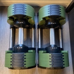 ホームジムセット(ダンベル、ベンチ、懸垂バー、ヨガマット、アブローラー)