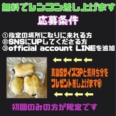 ★鹿児島産レンコンプレゼント★