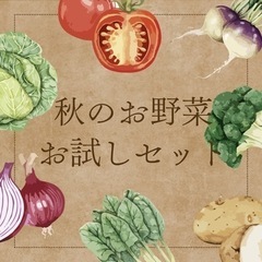 食品ロスゼロへ☆野菜お試しセット☆