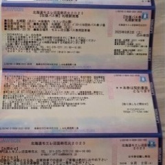 北海道モエレ沼芸術花火２０２３【取引き決まりました】