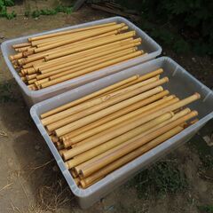 ケーナ　篠笛用竹材（女竹・トウチク）を無料で差し上げます