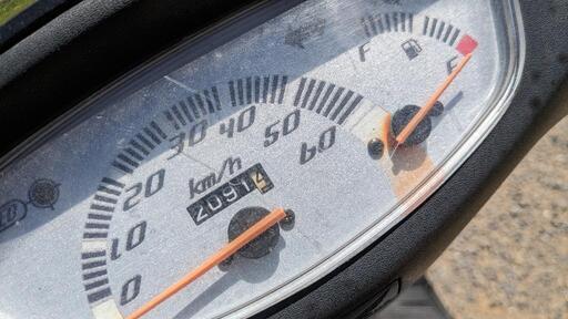 ホンダ　ライブディオZX　　★外装新品★タイヤ前後新品★　原付50cc ホンダ ライブディオZX ☆外装新品☆タイヤ前後新品☆ 原付50cc