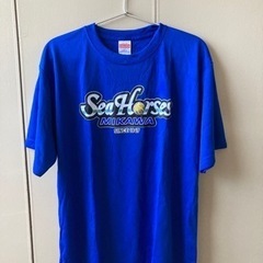 【未使用品】シーホース三河　ドライTシャツ　Lサイズ