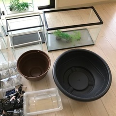 めだか、金魚水槽豪華セット