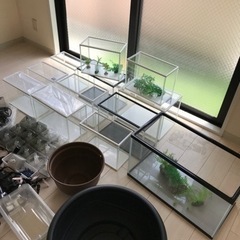 めだか、金魚水槽豪華セット