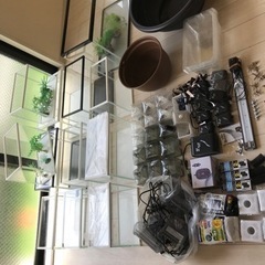 めだか、金魚水槽豪華セット