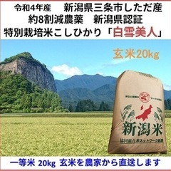 【ネット決済・配送可】減農薬　新潟こしひかり玄米20kg 令和4...