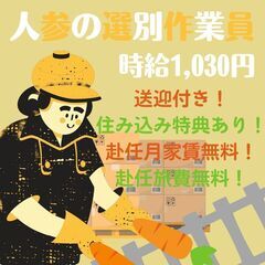 【日払い◎】週払いもOK！工場・軽作業スタッフ！《3927》