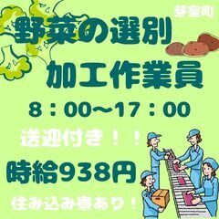 【日払い◎】週払いもOK！軽作業・食品工場スタッフ！！《3970》