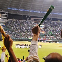 単発OK！ドームでプロ野球グッズやサービスのご案内