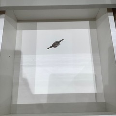 【トレファク神戸南店】キッチンキャビネット【取りに来られる方限定】