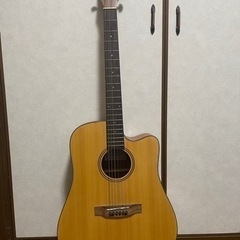 Donner アコースティックギター DAG-1C