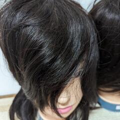 国家試験カットウィッグ