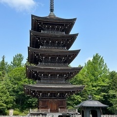 ⛩️御朱印巡りどうですか？⛩️