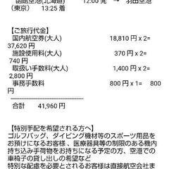 【ネット決済・配送可】LCC航空券 大人2枚 9/5函館空港～羽...