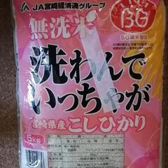 無洗米コシヒカリ5kg（23年5月精米）