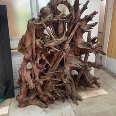 巨木の根のオブジェ