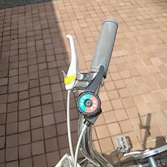 シルバー三輪自転車スイング