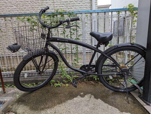 その他 fivecard bike  black diamond