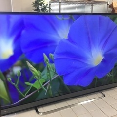 TOSHIBA REGZA 50インチ4K液晶テレビ スマートTV 50M510X YouTube 