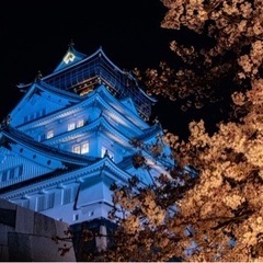 🏃‍♂️大阪城でナイトランニング🏃‍♂️