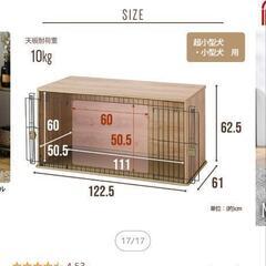 子猫や子犬と暮らしてる方に🙂