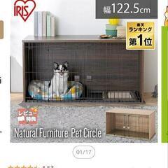 子猫や子犬と暮らしてる方に🙂