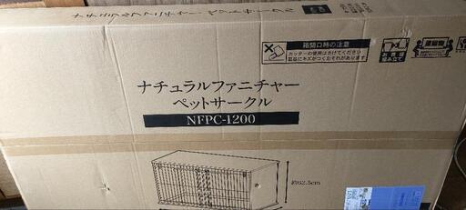 子猫や子犬と暮らしてる方に