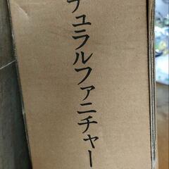子猫や子犬と暮らしてる方に🙂
