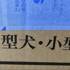 子猫や子犬と暮らしてる方に🙂