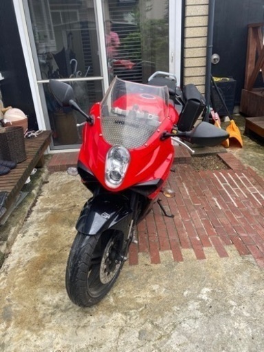 ヒョウスン250