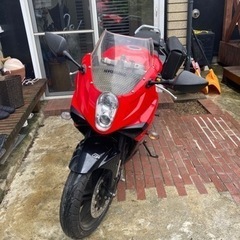 ヒョウスン250