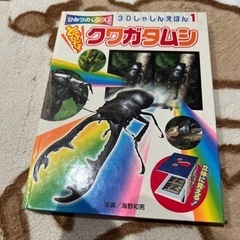 お取引決定✨クワガタムシの本