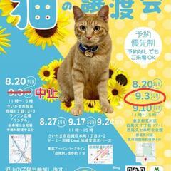 とらちゃん本舗　保護猫譲渡会　9/3荒川区西尾久