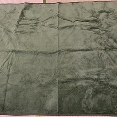 アイリスプラザ 洗えるラグカーペット 130×185cm 東京都府中市