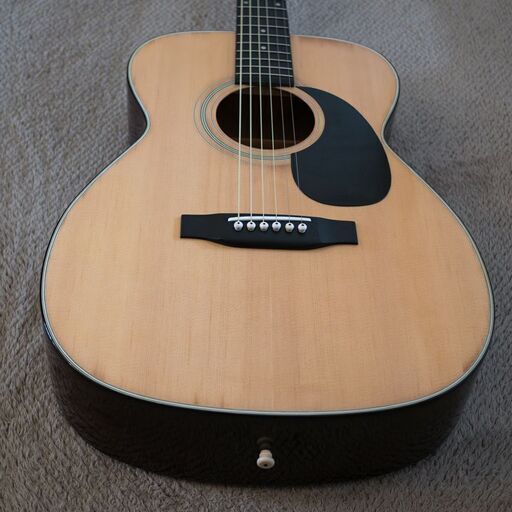 Jagard & Co アコースティックギター JD150飯田楽器製 Jagard