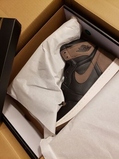 NIKE  AIR JORDAN 1 PALAMINO ナイキ　エアジョーダン1