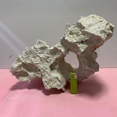 石灰岩　サンゴ　ライブロック　アフリカンシクリッド  海水魚　熱帯魚　水槽