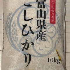 お米 10kg ！